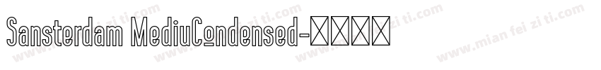 Sansterdam MediuCondensed字体转换